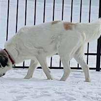 Thumbnail photo of Cloud #1