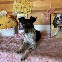 Thumbnail photo of Hopper #2