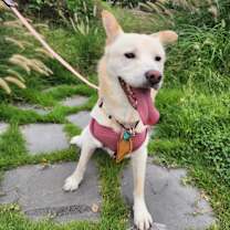 Thumbnail photo of Jinju #1