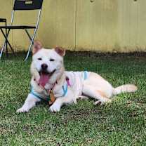 Thumbnail photo of Jinju #2