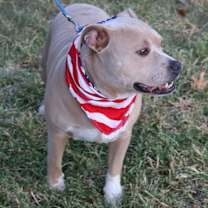 Thumbnail photo of Tucker #2