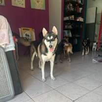 Thumbnail photo of Agatha #2