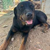 Thumbnail photo of Cielita - ** #1