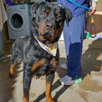 Thumbnail photo of Cielita - ** #2