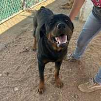 Thumbnail photo of Cielita - ** #3