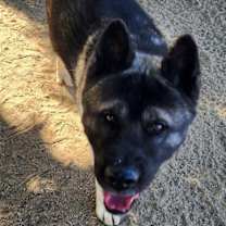 Thumbnail photo of Casper #2