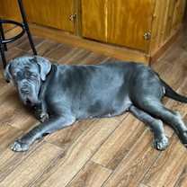 Thumbnail photo of Bettina #1