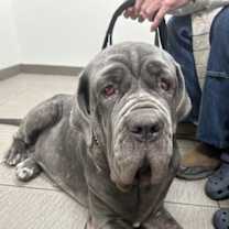 Thumbnail photo of Bettina #2