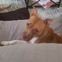 Thumbnail photo of Waffles #2