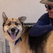 Thumbnail photo of Sammy #2