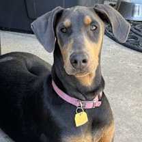 Thumbnail photo of Farrah #1