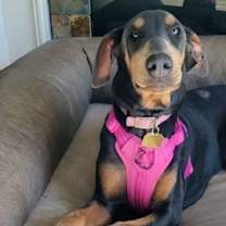 Thumbnail photo of Farrah #2