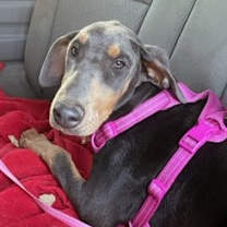 Thumbnail photo of Farrah #3