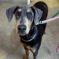 Thumbnail photo of Farrah #4