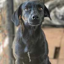 Thumbnail photo of Murphy #2