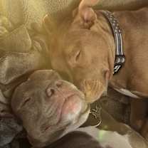 Thumbnail photo of Grady #3