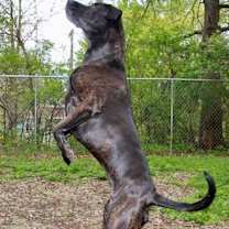 Thumbnail photo of Bryndle (21-087) #4