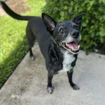 Thumbnail photo of Shay * #3