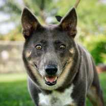 Thumbnail photo of Lori #1