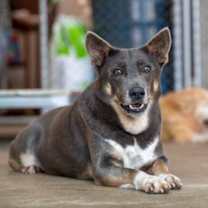 Thumbnail photo of Lori #2