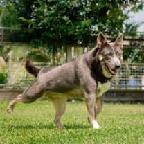 Thumbnail photo of Lori #4