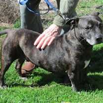 Thumbnail photo of Zeus #1