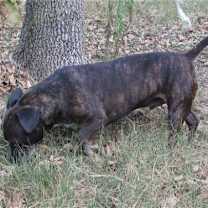 Thumbnail photo of Zeus #2