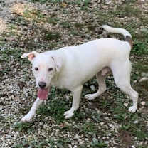 Thumbnail photo of Delbert #2