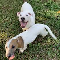 Thumbnail photo of Delbert #4