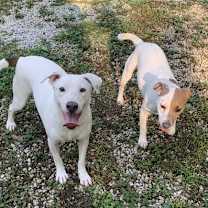 Thumbnail photo of Delbert #3