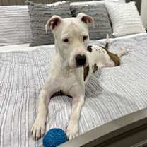 Thumbnail photo of Paloma (Courtesy post) #3