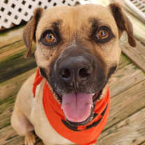 Thumbnail photo of Marla #2