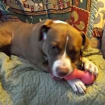 Thumbnail photo of Willow #1