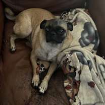 Thumbnail photo of Jake #4