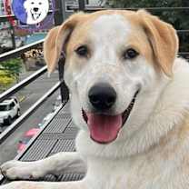 Thumbnail photo of Radish #1
