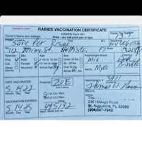 Thumbnail photo of Mya #2