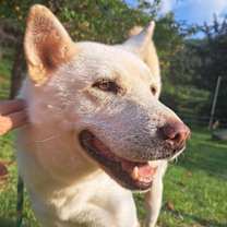 Thumbnail photo of Aleck (S. Korea) hz #3