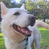 Thumbnail photo of Aleck (S. Korea) hz #4