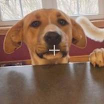 Thumbnail photo of Sandy #2