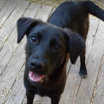 Thumbnail photo of Celeste #1