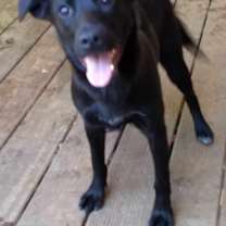 Thumbnail photo of Celeste #2