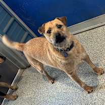 Thumbnail photo of Willie #1