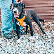 Thumbnail photo of Heidi #2