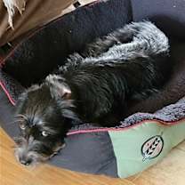 Thumbnail photo of Kenickie #2