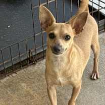 Thumbnail photo of Stan #1