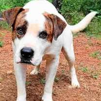 Thumbnail photo of Rory #3