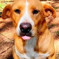 Thumbnail photo of Amris #1