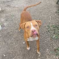 Thumbnail photo of CHARLIE #2
