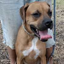 Thumbnail photo of Rocky #3