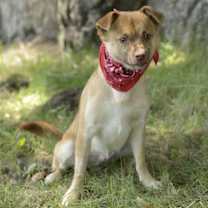 Thumbnail photo of Titto #2